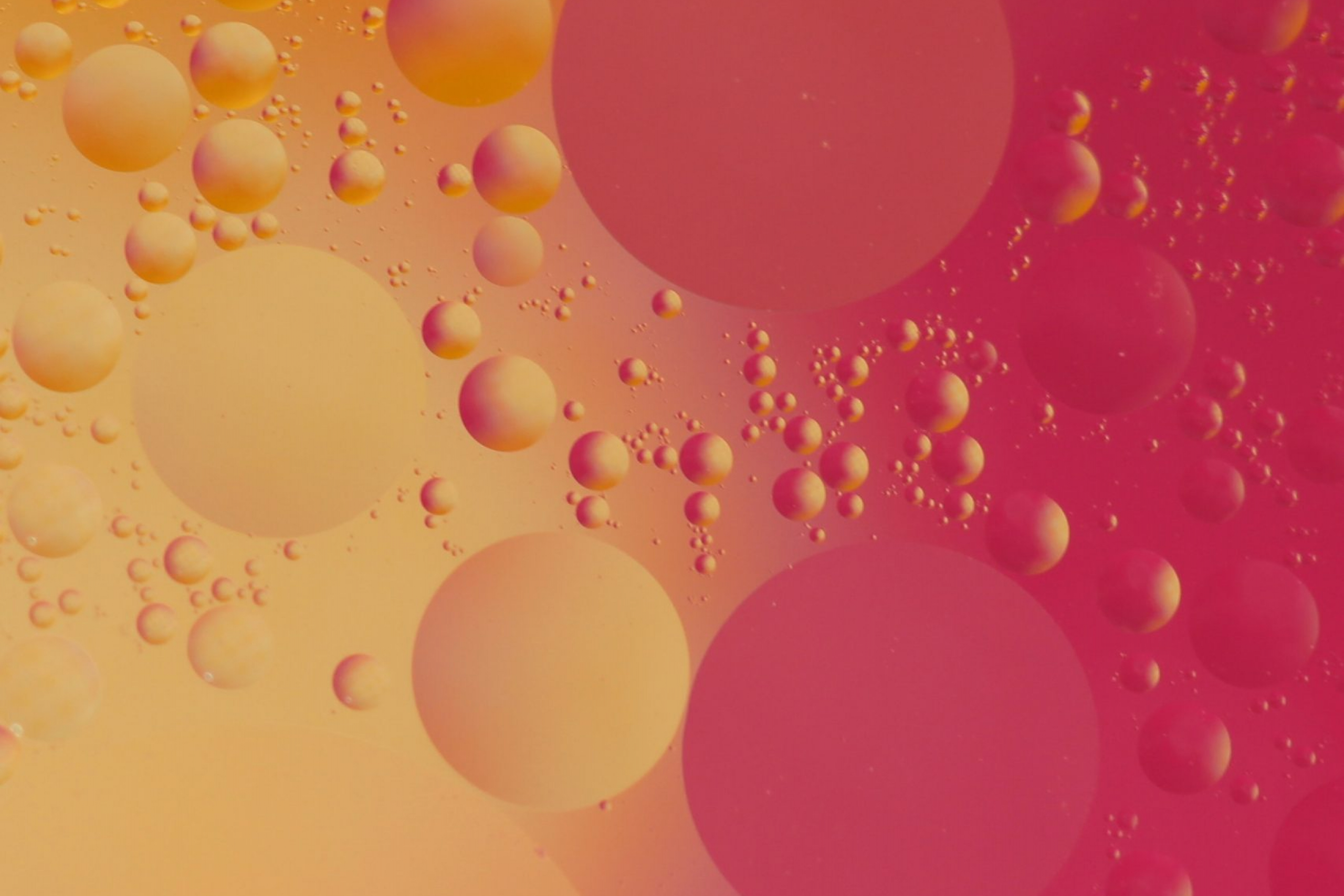 eliska-motisova-0xT-am7qnPg-unsplash